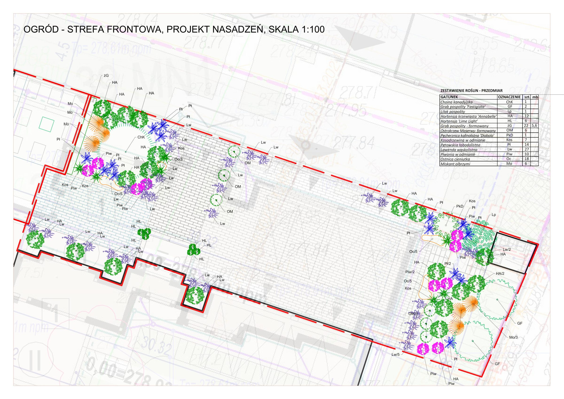 Projekt nasadzeń ogrodu, strefa frontowa w skali 1:100, rzut z góry z oznaczeniami roślin i tabelą gatunków
